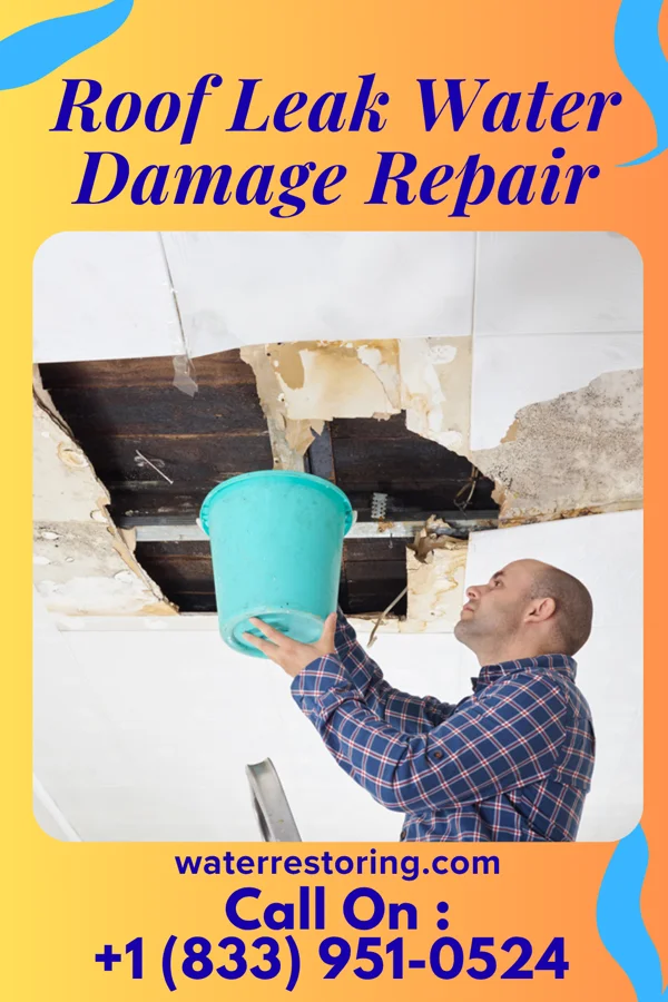 Roof Leak Water Damage Repair in Rivergrove, OR